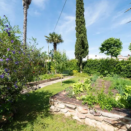 Apartment Luna Magazzini (Tuscany)
